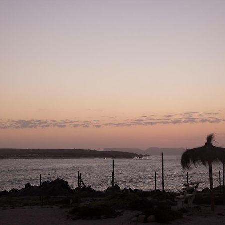 Refugio Humboldt Villa Punta de Choros Eksteriør bilde
