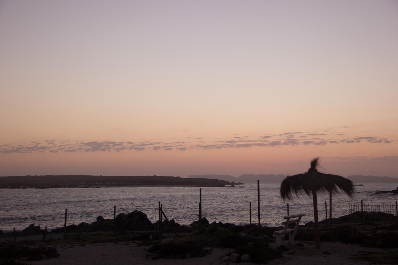 Refugio Humboldt Villa Punta de Choros Eksteriør bilde